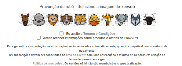 Verificação Humana FlowVPN